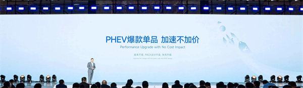 獨家｜對話楊紅新：蜂巢能源2024年如何“破卷”？