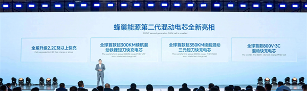獨家｜對話楊紅新：蜂巢能源2024年如何“破卷”？